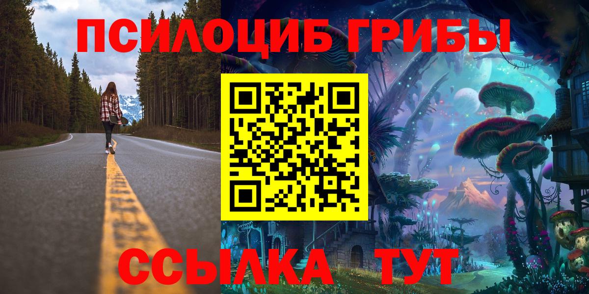 как найти закладки  Вход с VPN  Торжок  Псилоцибиновые грибы Cubensis 
