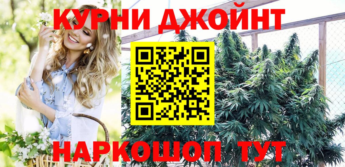 Шишки марихуана гибрид Торжок